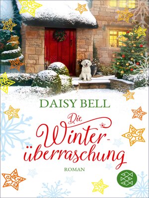 cover image of Die Winterüberraschung